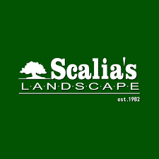 Scalia's Landscape