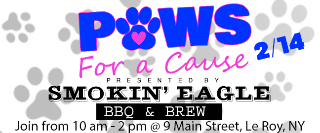 Paws for a Cause