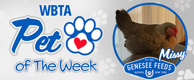 Kona Pet Of The Week