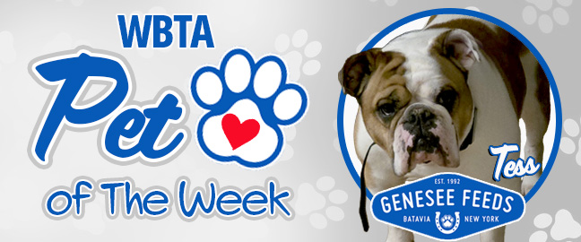 Kona Pet Of The Week