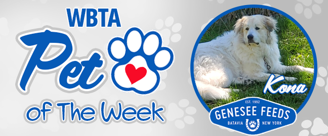Kona Pet Of The Week