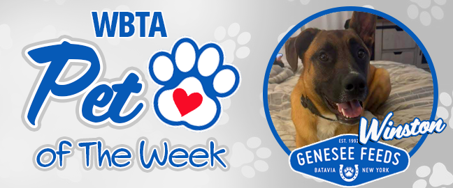 Kona Pet Of The Week