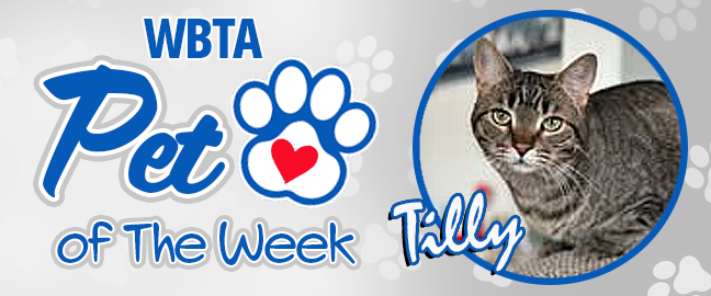 Kona Pet Of The Week