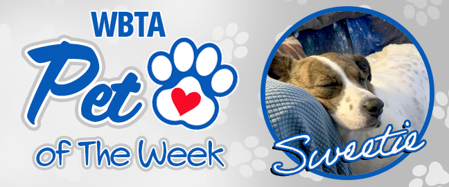 Kona Pet Of The Week