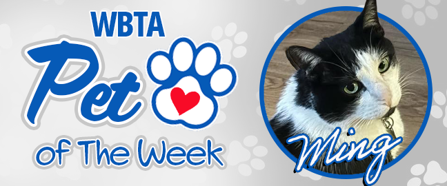 Kona Pet Of The Week