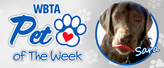 Kona Pet Of The Week