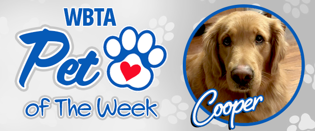 Kona Pet Of The Week