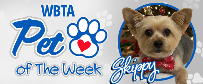 Kona Pet Of The Week
