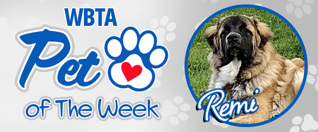 Kona Pet Of The Week