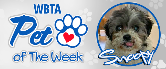 Kona Pet Of The Week