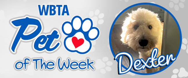 Kona Pet Of The Week