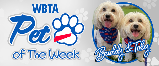 Kona Pet Of The Week