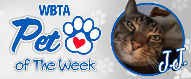 Kona Pet Of The Week