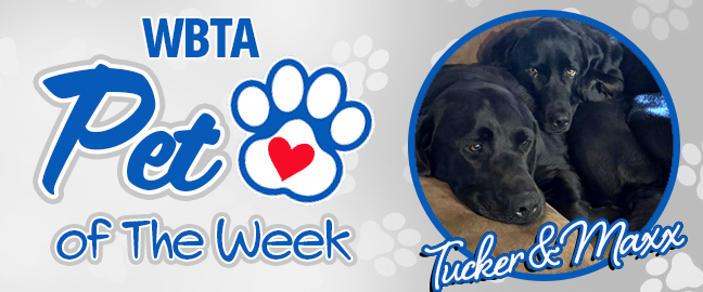 Kona Pet Of The Week