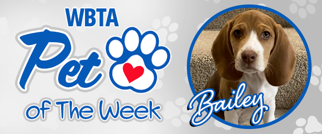 Kona Pet Of The Week