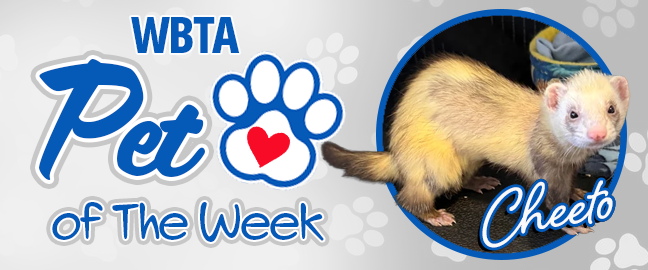 Kona Pet Of The Week