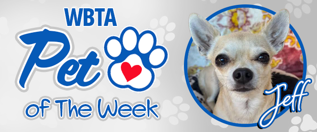 Kona Pet Of The Week